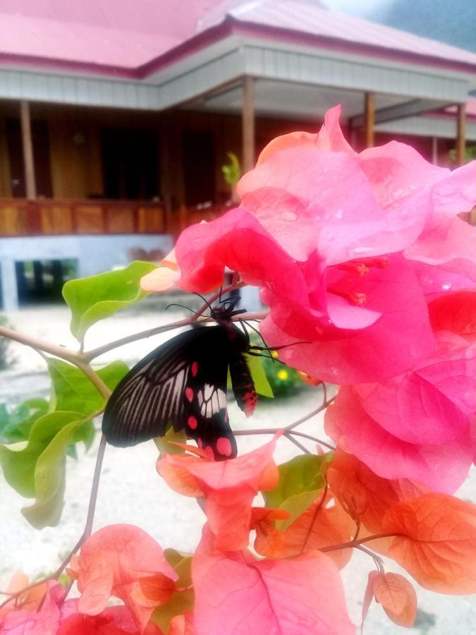 Nusa Nalan Beach Resort Rumah Olat エクステリア 写真